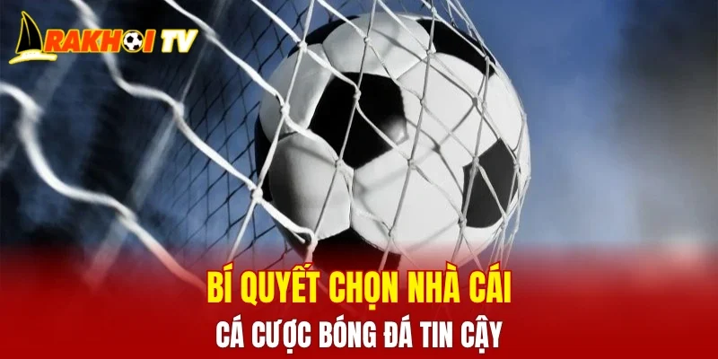 Bí quyết chọn nhà cái cá cược bóng đá tin cậy